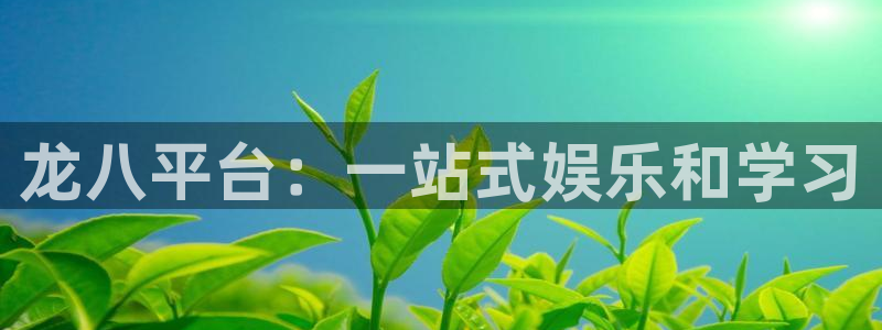 BB贝博艾弗森：龙八平台：一站式娱乐和学习