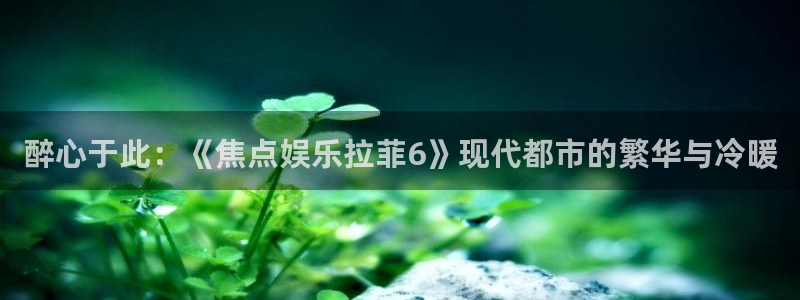 BB贝博艾弗森体育平台总代理：醉心于此：《焦点娱乐拉菲6》现代都市的繁华与冷暖