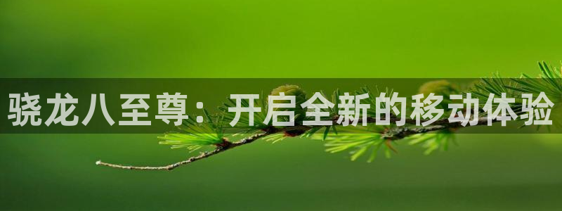 BB贝博艾弗森3注册：骁龙八至尊：开启全新的移动体验