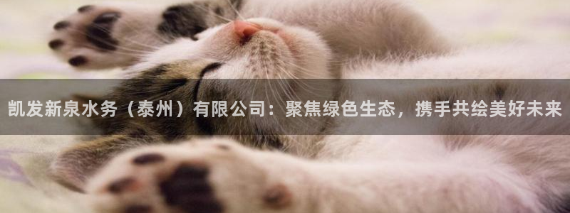 BB贝博艾弗森网站登录流程：凯发新泉水务（泰州）有限公司：聚焦绿色生态，携手共绘