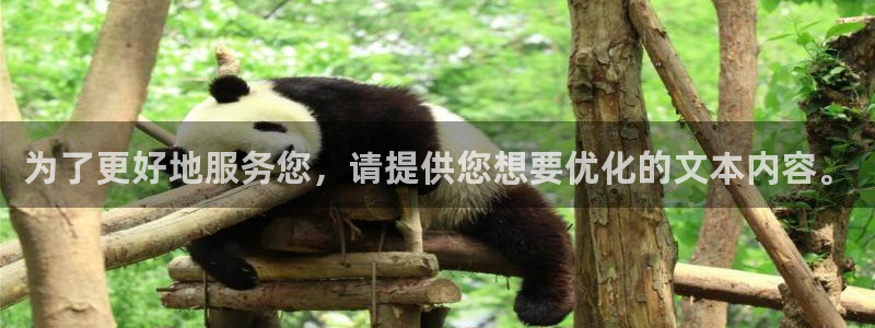 BB贝博艾弗森体育官网：为了更好地服务您，请提供您想要优化的文本内容。