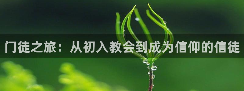 BB贝博艾弗森平台：门徒之旅：从初入教会到成为信仰的信徒
