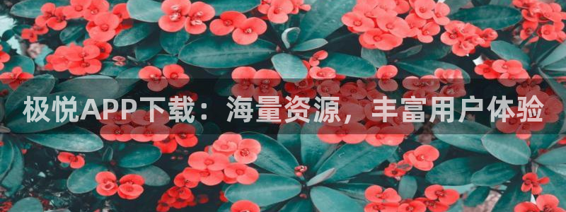 BB贝博艾弗森加拿大：极悦APP下载：海量资源，丰富用户体验