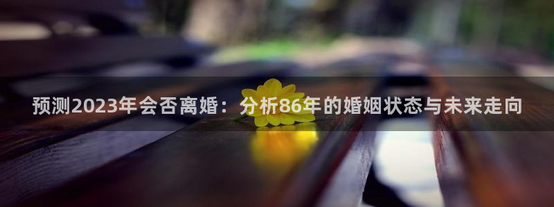 BB贝博艾弗森2登录入口：预测2023年会否离婚：分析86年的婚姻状态与未来走向