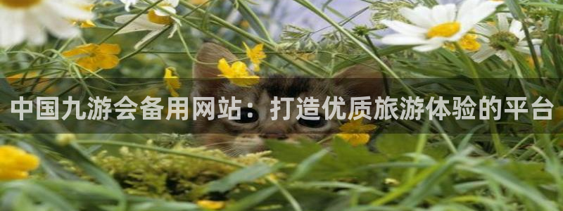 BB贝博艾弗森预测在线预测：中国九游会备用网站：打造优质旅游体验的平台
