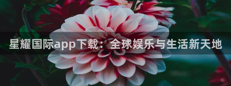 BB贝博艾弗森游戏官网平台入口：星耀国际app下载：全球娱乐与生活新天地