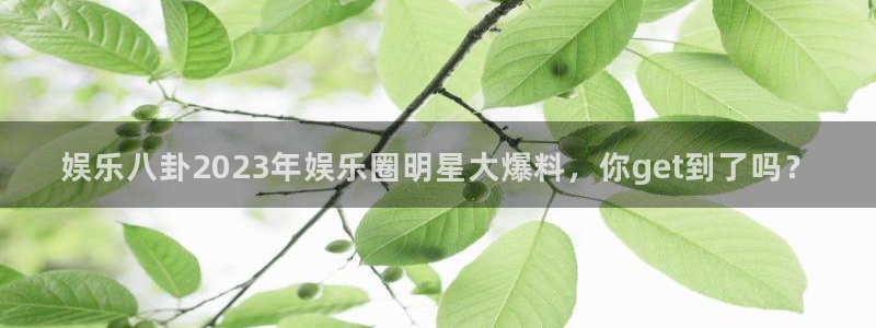 BB贝博艾弗森游戏有哪些好玩的：娱乐八卦2023年娱乐圈明星大爆料，你get到了