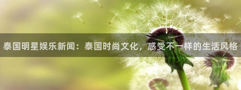 BB贝博艾弗森平台管网入口：泰国明星娱乐新闻：泰国时尚文化，感受不一样的生活风格