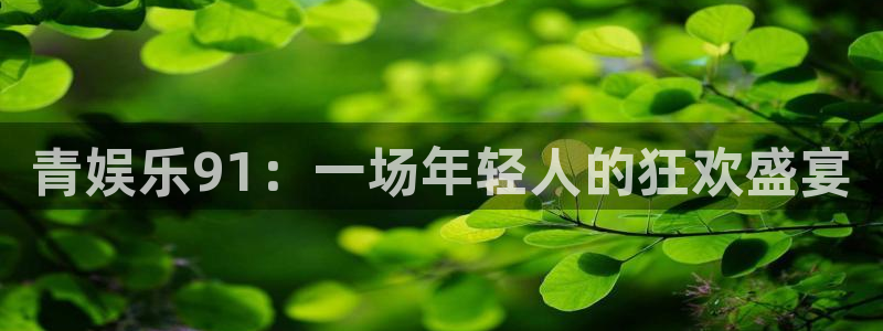 BB贝博艾弗森游戏有哪些好玩的：青娱乐91：一场年轻人的狂欢盛宴