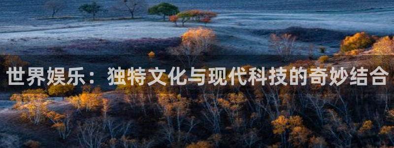 BB贝博艾弗森麻将胡了：世界娱乐：独特文化与现代科技的奇妙结合