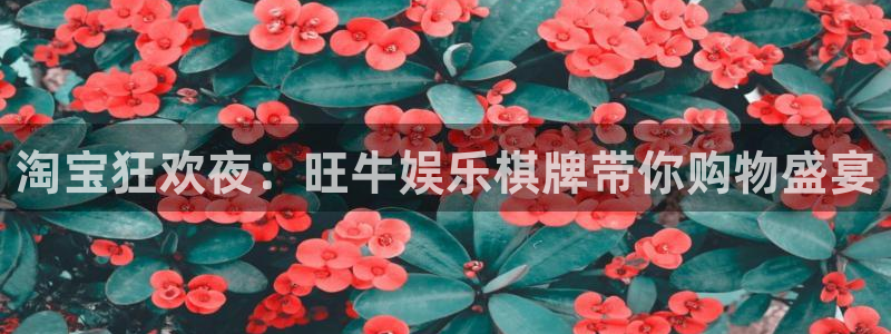 BB贝博艾弗森登录注册：淘宝狂欢夜：旺牛娱乐棋牌带你购物盛宴