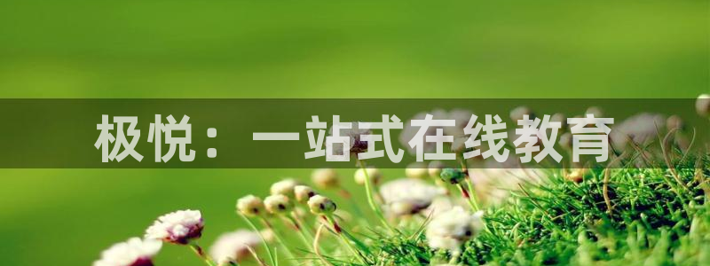 BB贝博艾弗森加拿大app预测：极悦：一站式在线教育