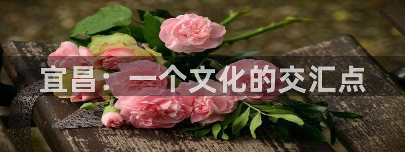 电子游戏BB贝博艾弗森：宜昌：一个文化的交汇点