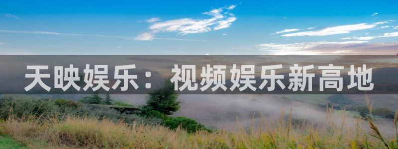 BB贝博艾弗森2体育：天映娱乐：视频娱乐新高地