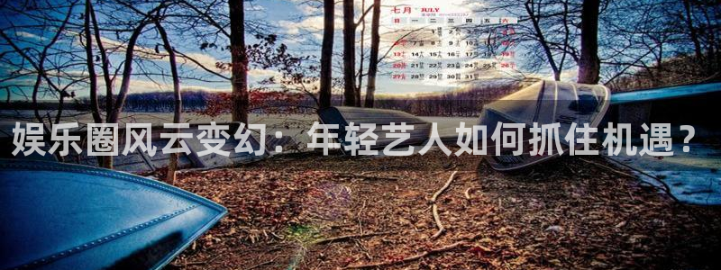 BB贝博艾弗森招商：娱乐圈风云变幻：年轻艺人如何抓住机遇？