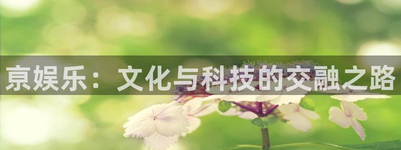 BB贝博艾弗森分红代理计划：亰娱乐：文化与科技的交融之路